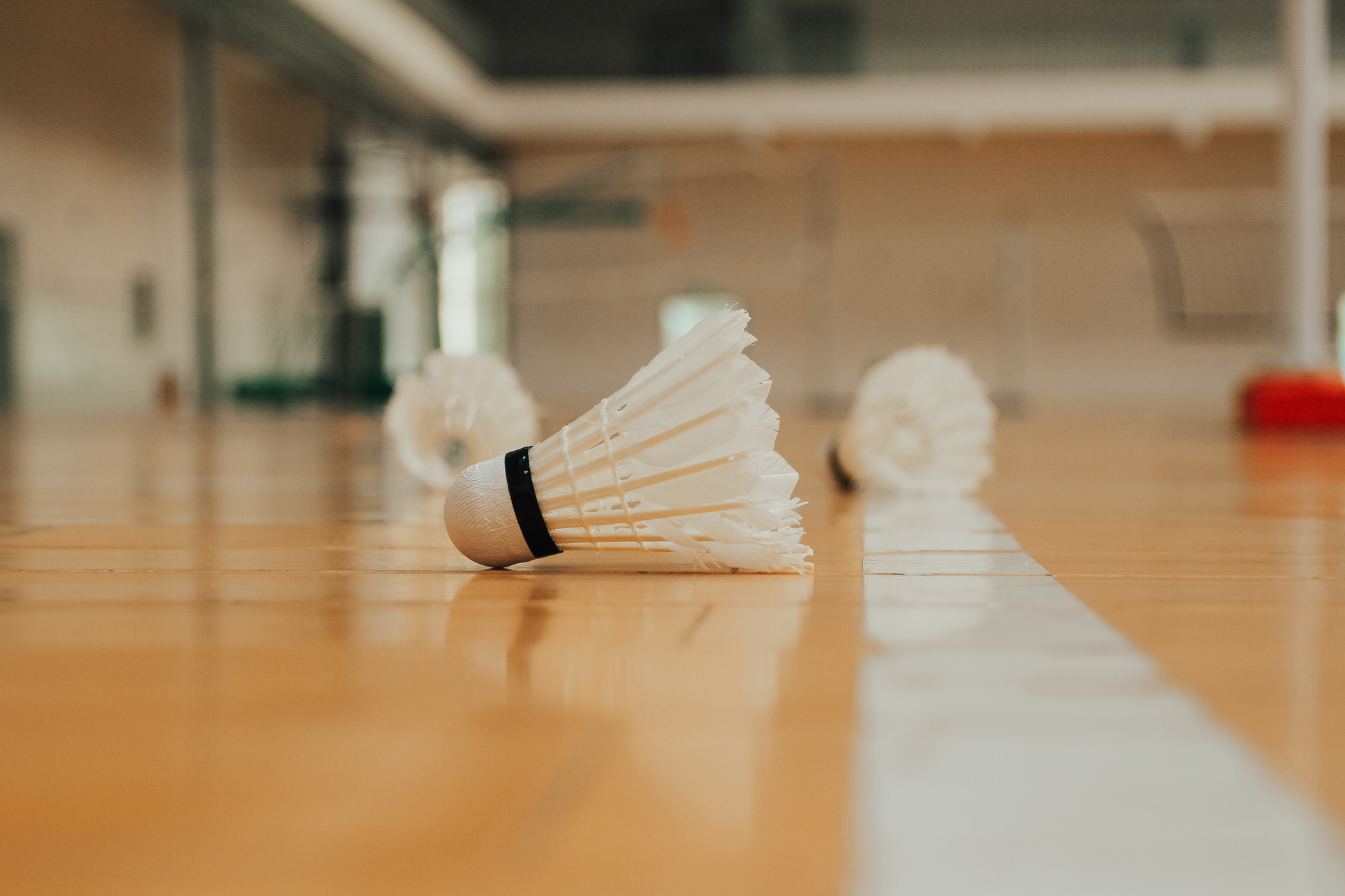 Shuttlecocks on wooden floor in sports hall